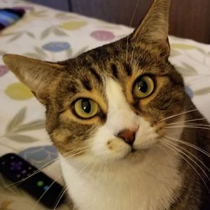 Meet your Posher, Cynthia